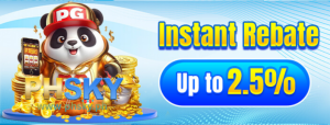 Details of Instant Rebate Up to 2.5% Daily