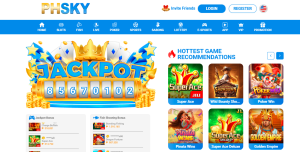 PHSKY Register: Important Notes